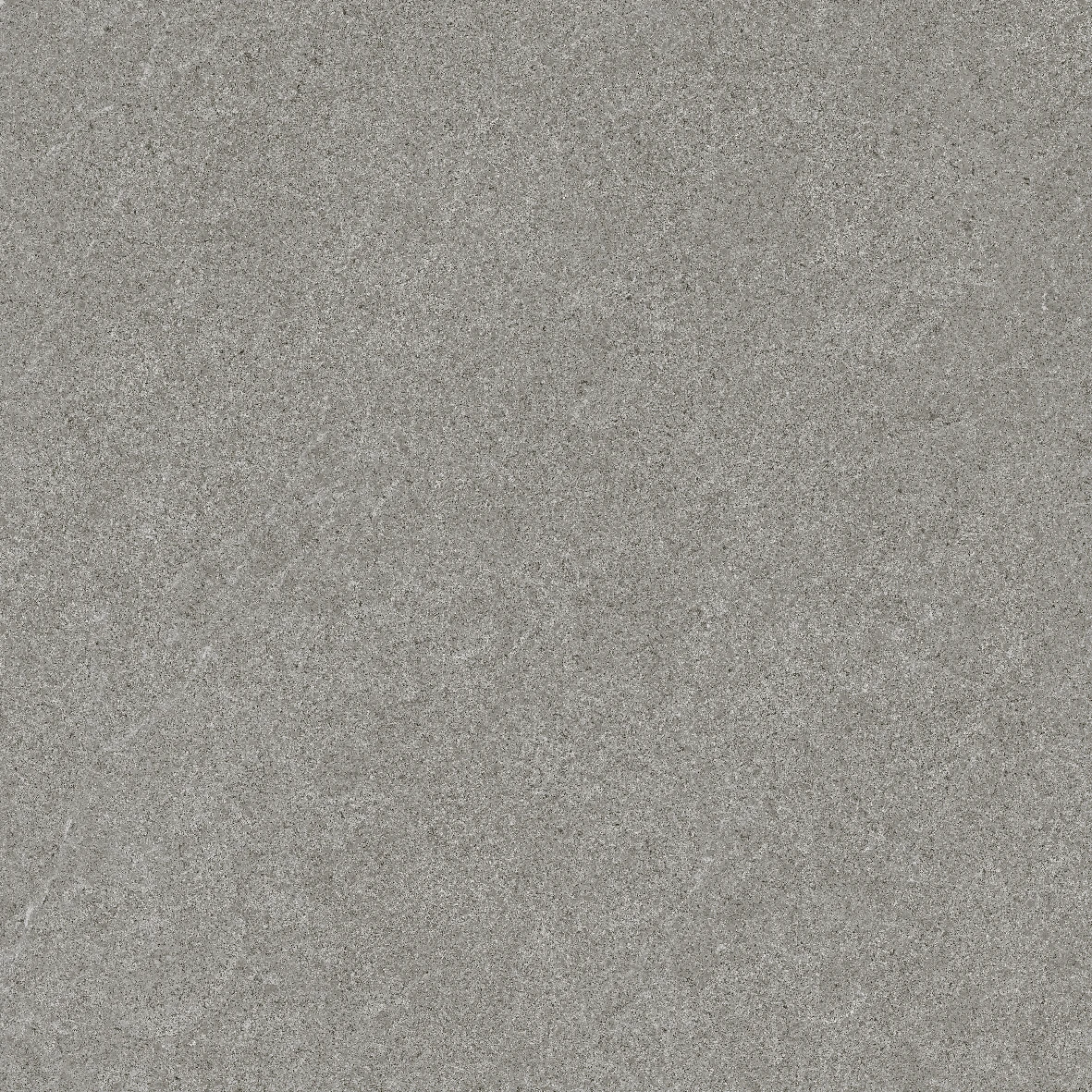 face 6